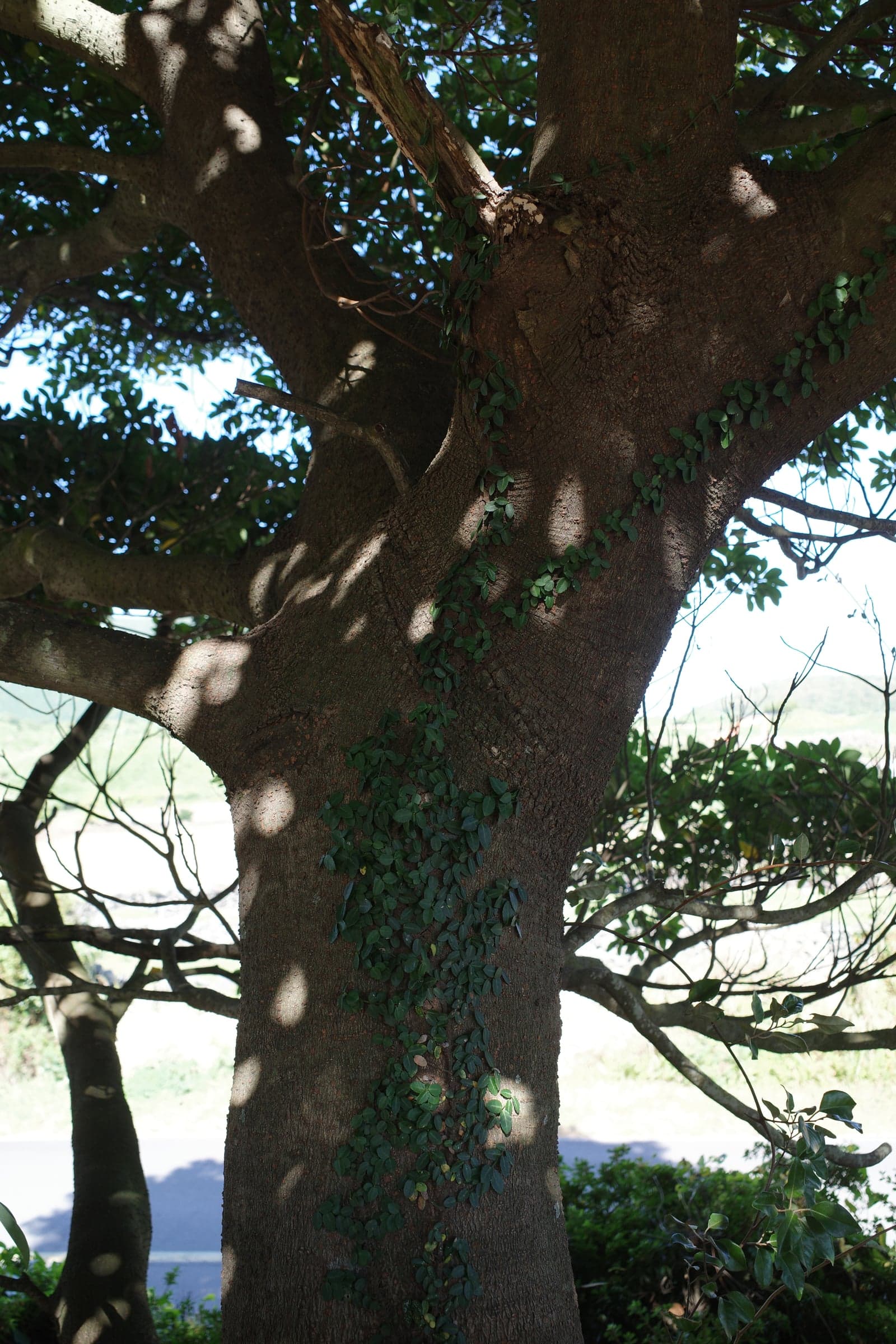 R0026000