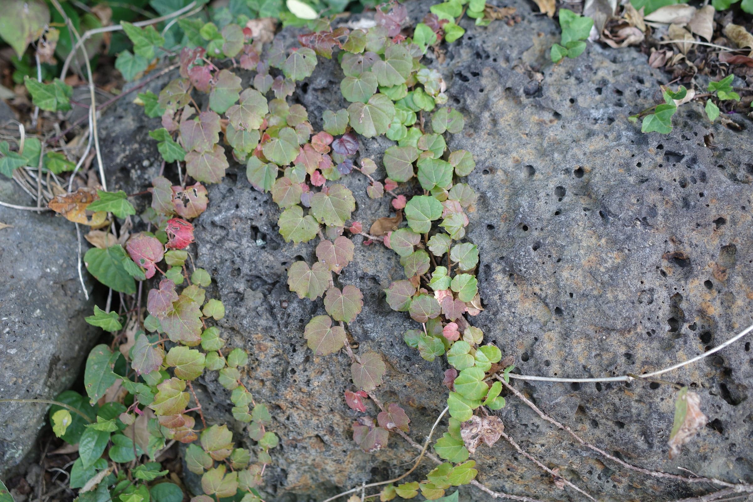 R0025613