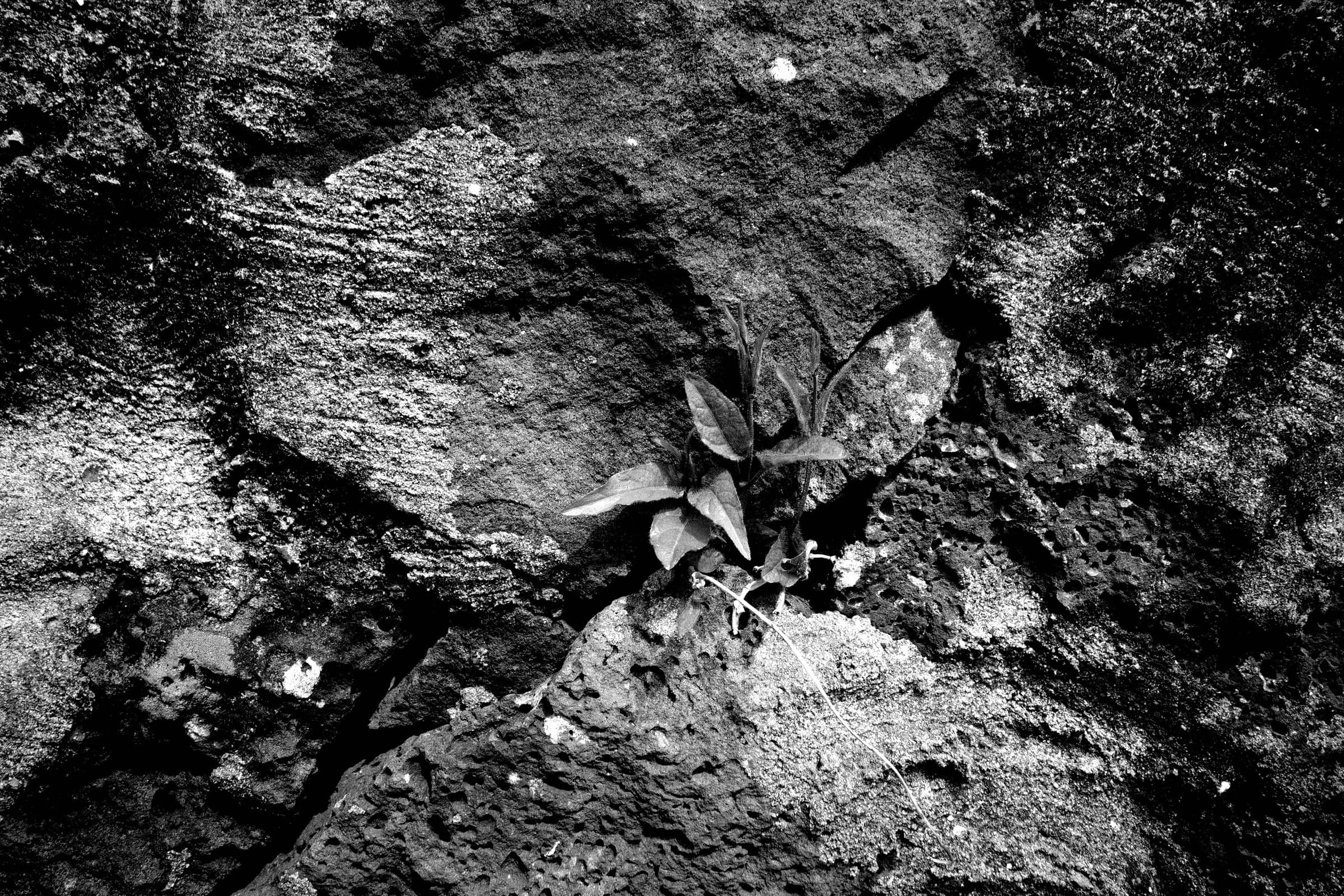 R0048928