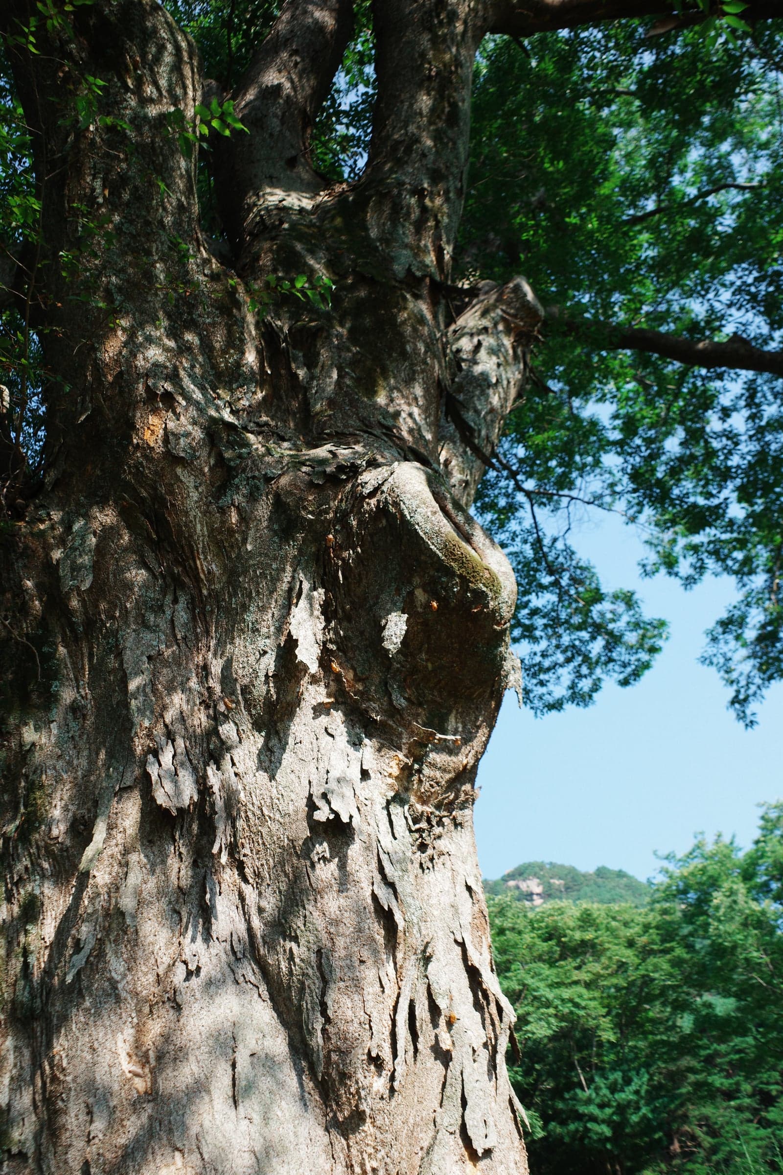 R0043758