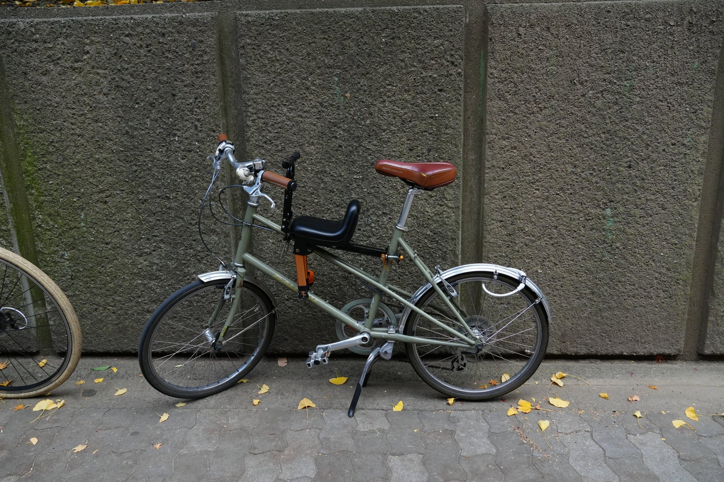 BAH06530